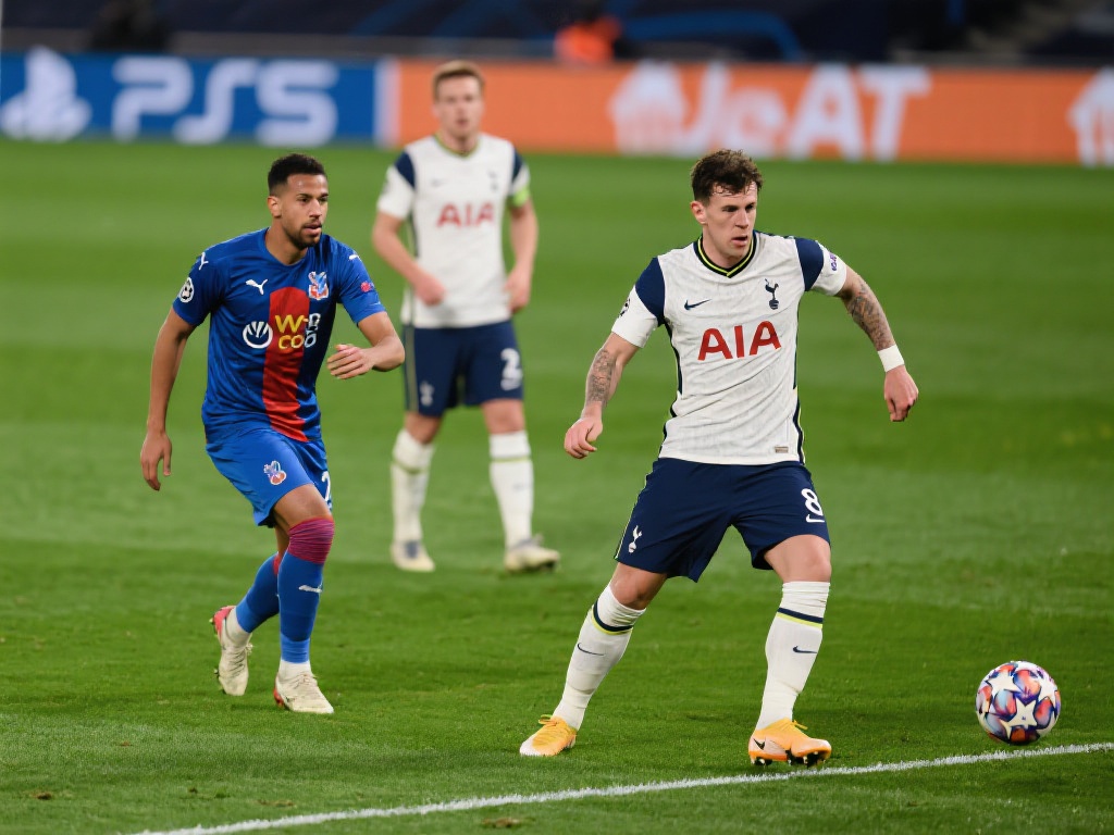 前场球员的 前场球员的